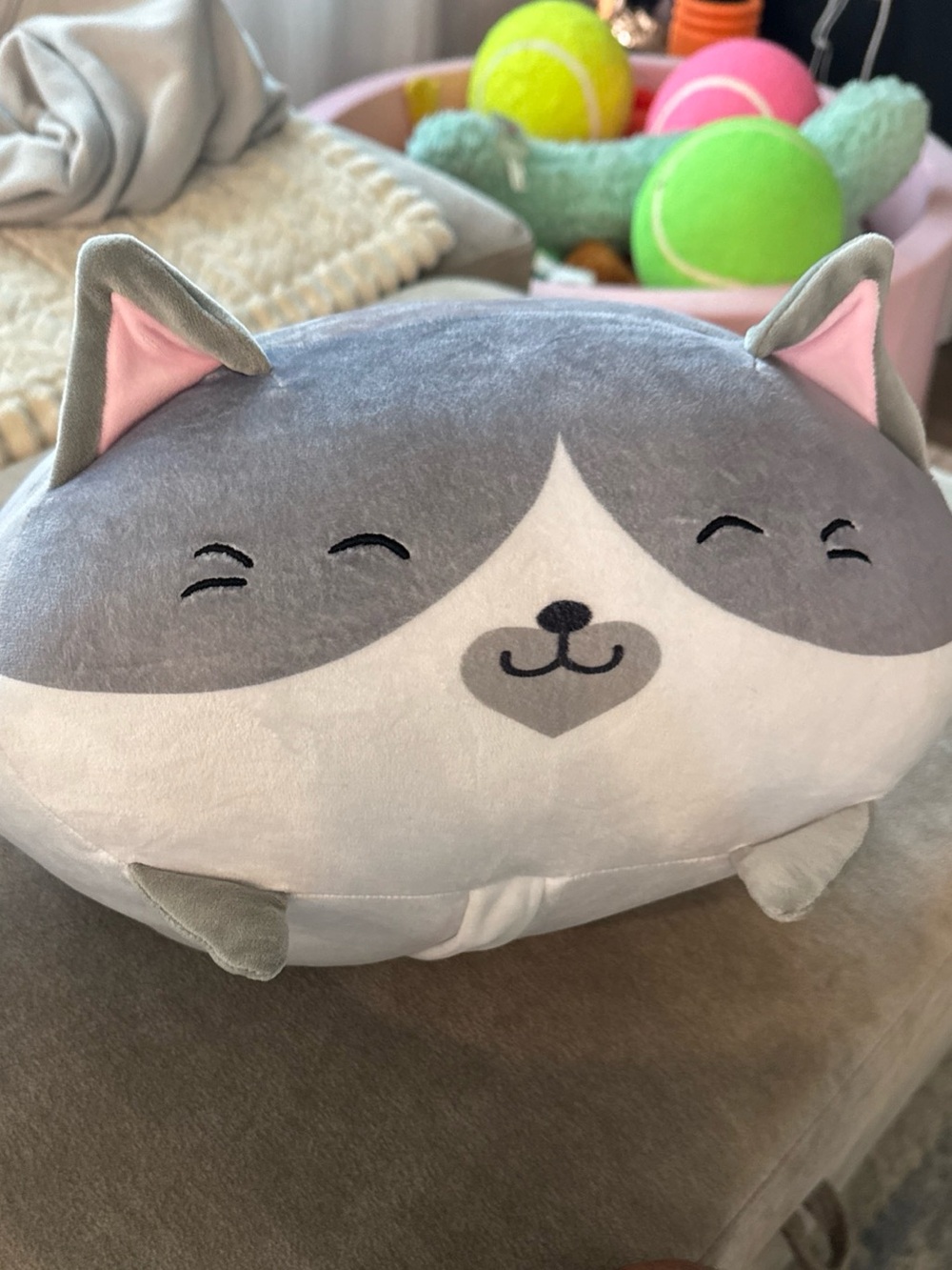 Squishmallows | Kawaii Gray & White Cat Plush | Squishy Soft Chonky Kitty